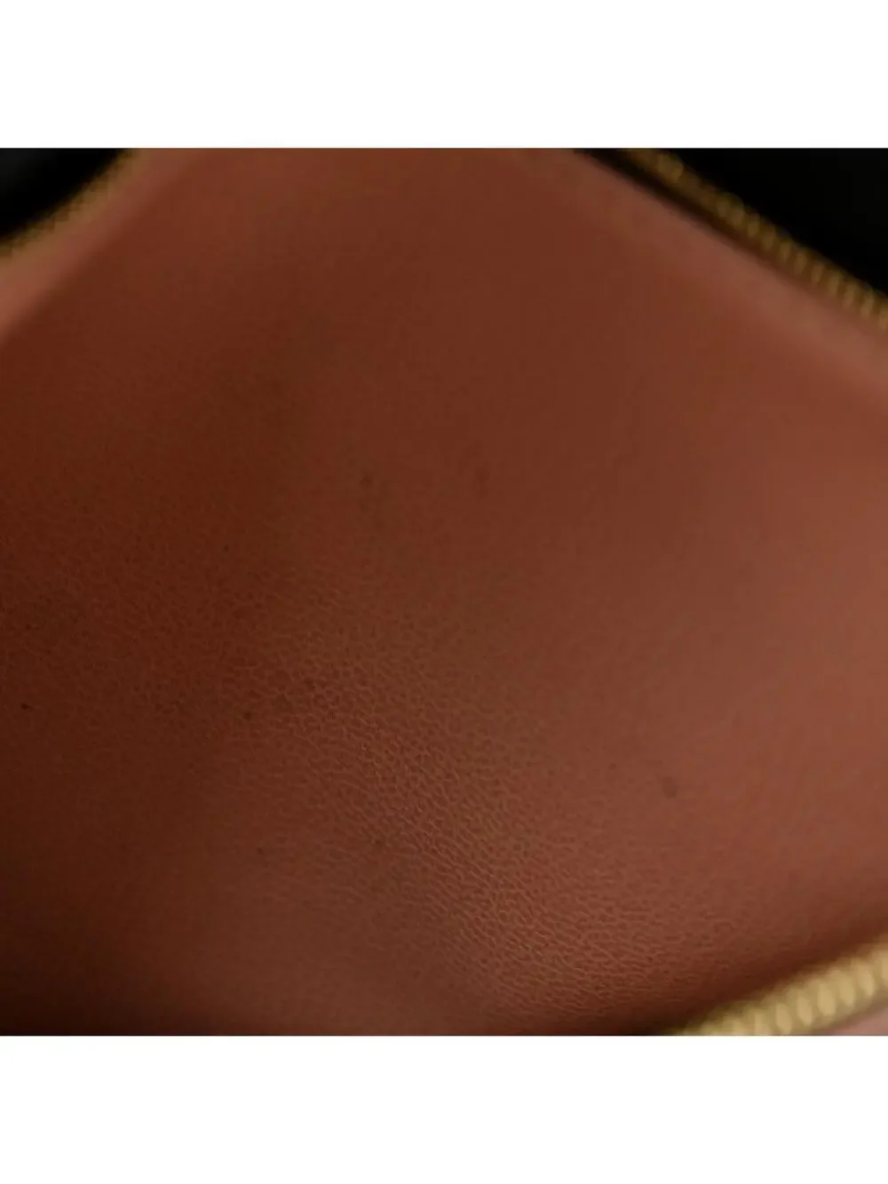 Louis Vuitton Lambskin Embossed #344795L18B